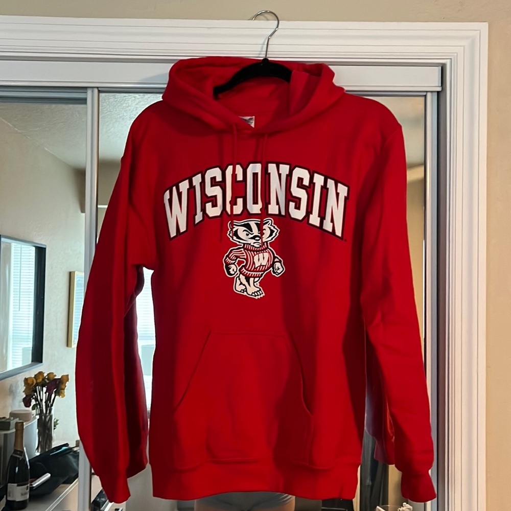 Wisconsin Badgers gildan hoodie size small